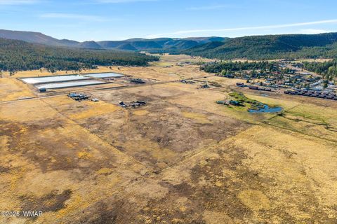 Tiny photo for 216 CR 2311, Alpine, AZ 85920 (MLS # 260324)