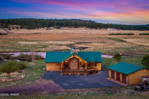 Tiny photo for 216 CR 2311, Alpine, AZ 85920 (MLS # 260324)