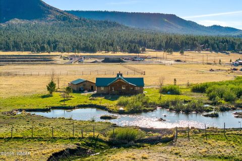 Tiny photo for 216 CR 2311, Alpine, AZ 85920 (MLS # 260324)