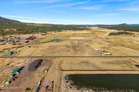 Tiny photo for 216 CR 2311, Alpine, AZ 85920 (MLS # 260324)