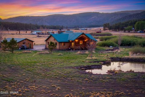 Photo of 216 CR 2311, Alpine, AZ 85920 (MLS # 260324)