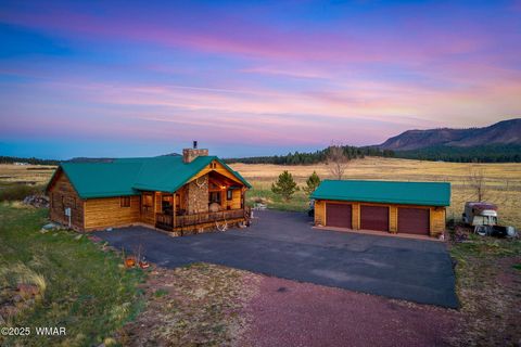 Tiny photo for 216 CR 2311, Alpine, AZ 85920 (MLS # 260324)