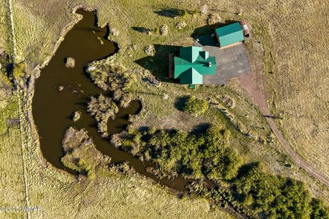 Tiny photo for 216 CR 2311, Alpine, AZ 85920 (MLS # 260324)