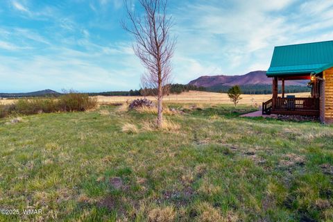Tiny photo for 216 CR 2311, Alpine, AZ 85920 (MLS # 260324)
