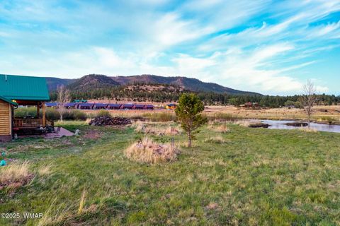Tiny photo for 216 CR 2311, Alpine, AZ 85920 (MLS # 260324)
