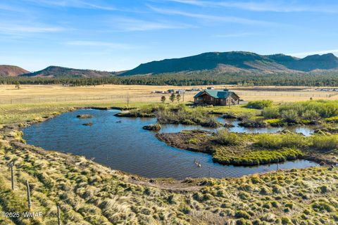 Tiny photo for 216 CR 2311, Alpine, AZ 85920 (MLS # 260324)