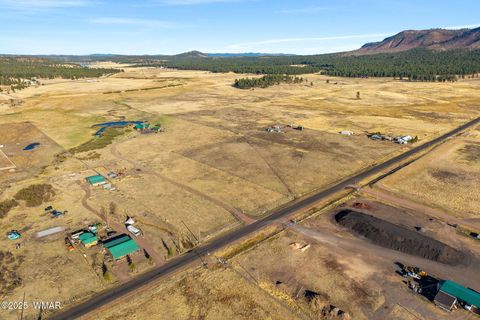 Tiny photo for 216 CR 2311, Alpine, AZ 85920 (MLS # 260324)