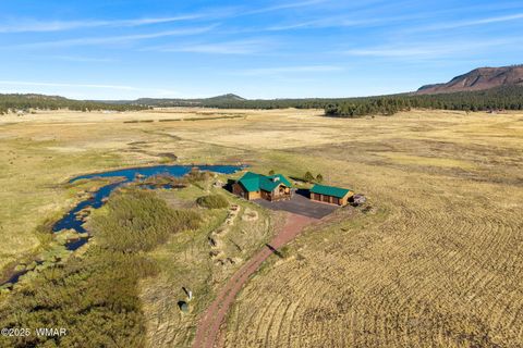 Tiny photo for 216 CR 2311, Alpine, AZ 85920 (MLS # 260324)