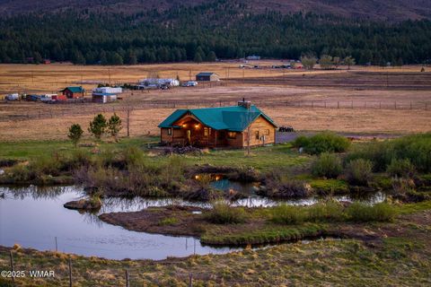 Tiny photo for 216 CR 2311, Alpine, AZ 85920 (MLS # 260324)