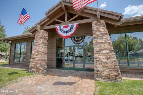 Tiny photo for 910 S Barberry Lane, Show Low, AZ 85901 (MLS # 260170)