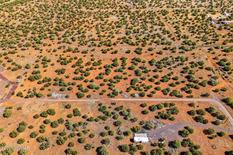 Tiny photo for 8140 Well Road, Show Low, AZ 85901 (MLS # 259780)