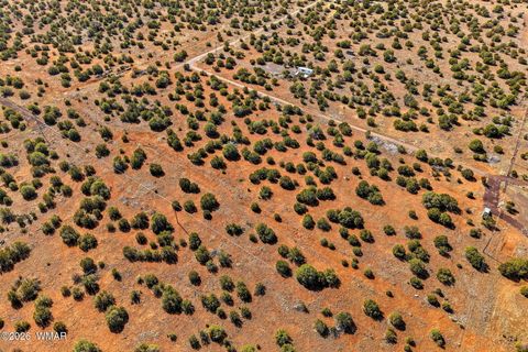 Tiny photo for 8140 Well Road, Show Low, AZ 85901 (MLS # 259780)
