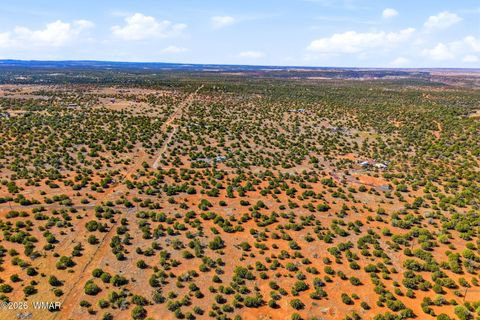 Tiny photo for 8140 Well Road, Show Low, AZ 85901 (MLS # 259780)