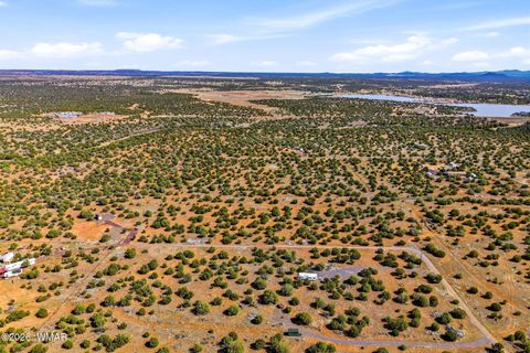 Tiny photo for 8140 Well Road, Show Low, AZ 85901 (MLS # 259780)