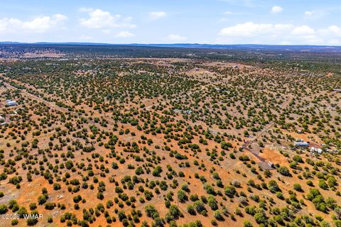 Tiny photo for 8140 Well Road, Show Low, AZ 85901 (MLS # 259780)