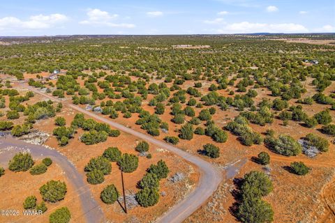 Tiny photo for 8140 Well Road, Show Low, AZ 85901 (MLS # 259780)