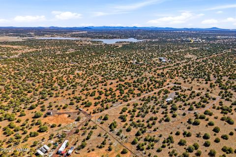 Tiny photo for 8140 Well Road, Show Low, AZ 85901 (MLS # 259780)