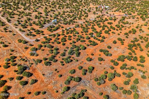 Tiny photo for 8140 Well Road, Show Low, AZ 85901 (MLS # 259780)