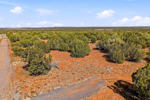 Tiny photo for 8140 Well Road, Show Low, AZ 85901 (MLS # 259780)