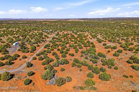 Tiny photo for 8140 Well Road, Show Low, AZ 85901 (MLS # 259780)