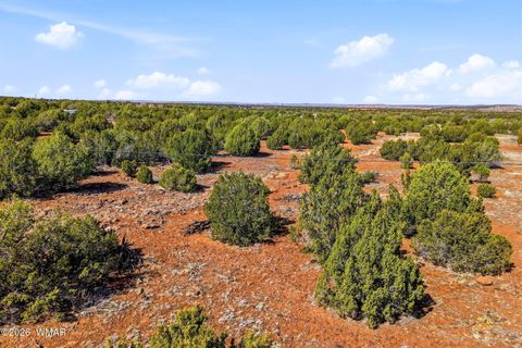 Tiny photo for 8140 Well Road, Show Low, AZ 85901 (MLS # 259780)