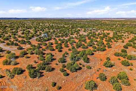 Tiny photo for 8140 Well Road, Show Low, AZ 85901 (MLS # 259780)