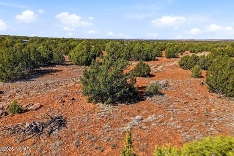 Tiny photo for 8140 Well Road, Show Low, AZ 85901 (MLS # 259780)