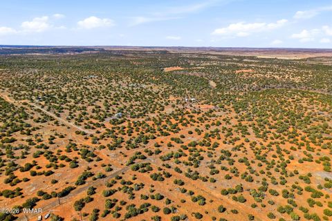 Tiny photo for 8140 Well Road, Show Low, AZ 85901 (MLS # 259780)