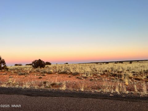 Tiny photo for 5175 Old Woodruff Road, Snowflake, AZ 85937 (MLS # 258936)