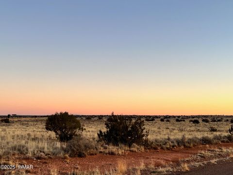 Tiny photo for 5175 Old Woodruff Road, Snowflake, AZ 85937 (MLS # 258936)