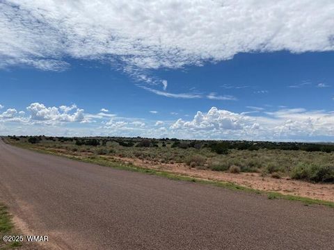 Tiny photo for 5175 Old Woodruff Road, Snowflake, AZ 85937 (MLS # 258936)