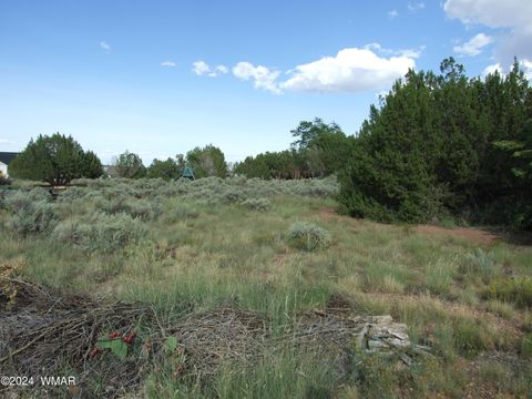 Tiny photo for TBD #130 Lyon Gate Drive, Snowflake, AZ 85937 (MLS # 253885)