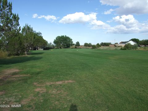 Tiny photo for TBD #130 Lyon Gate Drive, Snowflake, AZ 85937 (MLS # 253885)