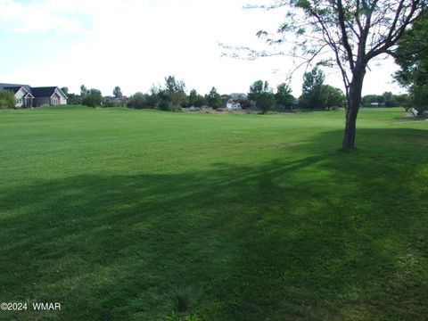 Tiny photo for TBD #130 Lyon Gate Drive, Snowflake, AZ 85937 (MLS # 253885)
