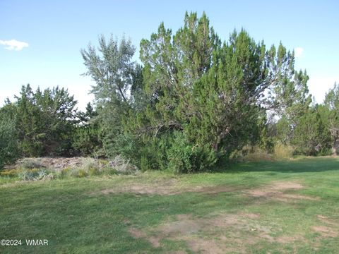 Tiny photo for TBD #130 Lyon Gate Drive, Snowflake, AZ 85937 (MLS # 253885)
