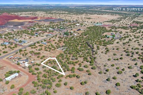 Photo of 8795 Luana Drive, Show Low, AZ 85901 (MLS # 258031)