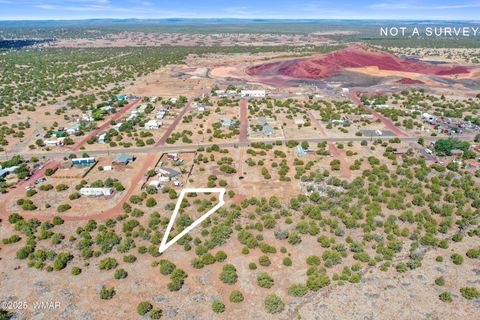 Tiny photo for 8795 Luana Drive, Show Low, AZ 85901 (MLS # 258031)