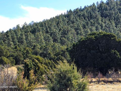 Photo of LOT 8 Red Cabin Ranch #8, Vernon, AZ 85940 (MLS # 259841)