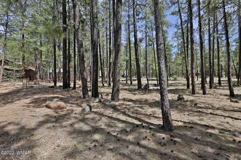 Tiny photo for 2682 Brahma Circle, Pinetop, AZ 85935 (MLS # 255460)