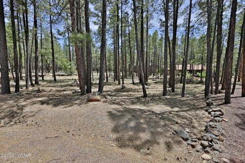 Photo of 2682 Brahma Circle, Pinetop, AZ 85935 (MLS # 255460)