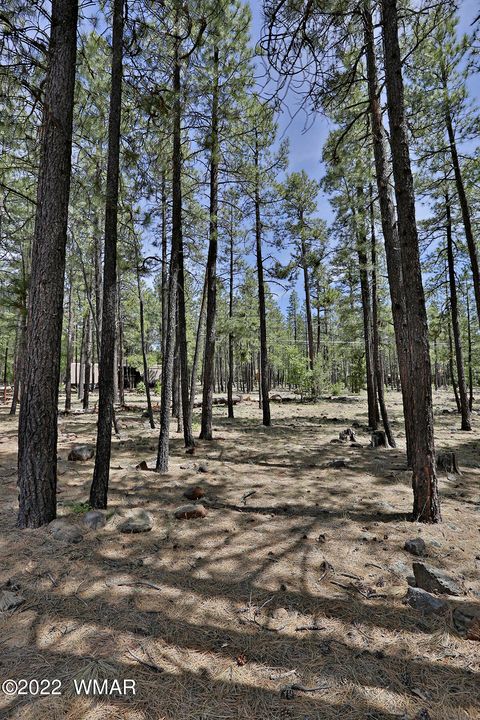 Tiny photo for 2682 Brahma Circle, Pinetop, AZ 85935 (MLS # 255460)