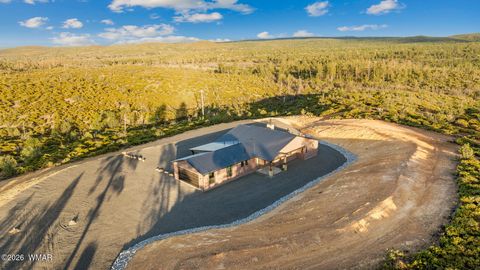 Tiny photo for 539 Fieldy Road, Show Low, AZ 85901 (MLS # 261334)