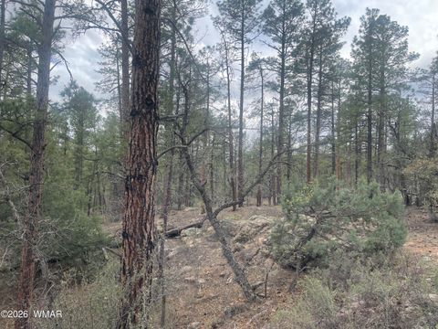 Tiny photo for 2800 S White Mountain Road #108, Show Low, AZ 85901 (MLS # 258410)
