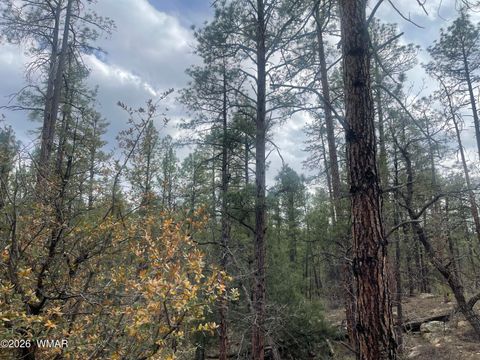 Tiny photo for 2800 S White Mountain Road #108, Show Low, AZ 85901 (MLS # 258410)
