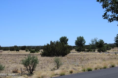 Tiny photo for 7700 Del Rio Drive, Show Low, AZ 85901 (MLS # 241559)