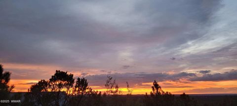 Tiny photo for 1581 W Snow Creek Trail, Show Low, AZ 85901 (MLS # 259952)