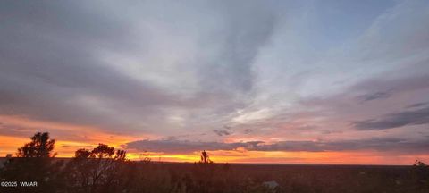 Tiny photo for 1581 W Snow Creek Trail, Show Low, AZ 85901 (MLS # 259952)