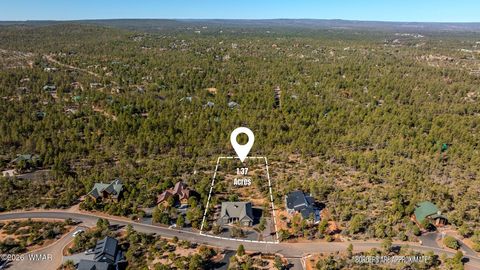 Tiny photo for 1930 S Twin Peak Trail, Show Low, AZ 85901 (MLS # 259989)