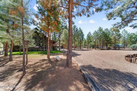 Tiny photo for 2046 Christmas Pine Road, Overgaard, AZ 85933 (MLS # 257949)