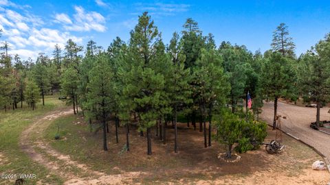 Tiny photo for 2046 Christmas Pine Road, Overgaard, AZ 85933 (MLS # 257949)